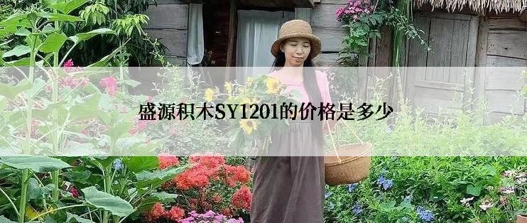  盛源积木SY1201的价格是多少