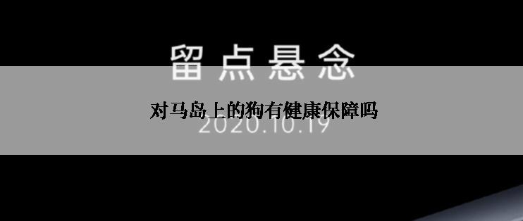  对马岛上的狗有健康保障吗