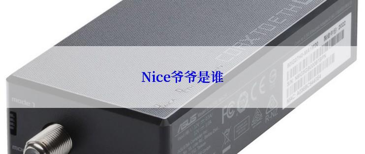 Nice爷爷是谁