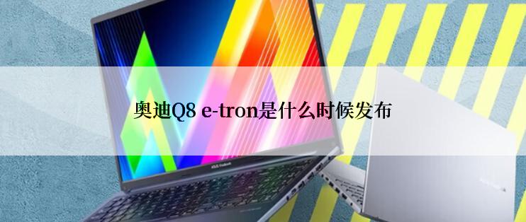 奥迪Q8 e-tron是什么时候发布