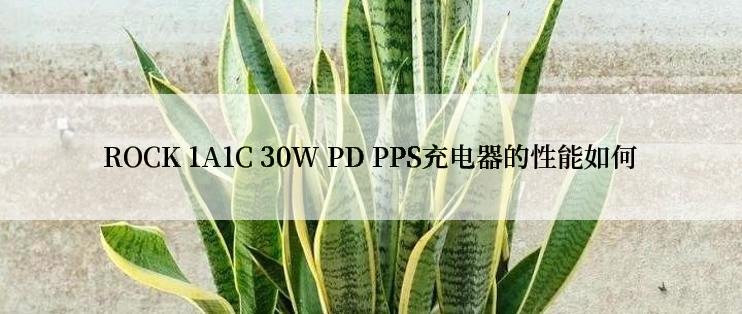 ROCK 1A1C 30W PD PPS充电器的性能如何