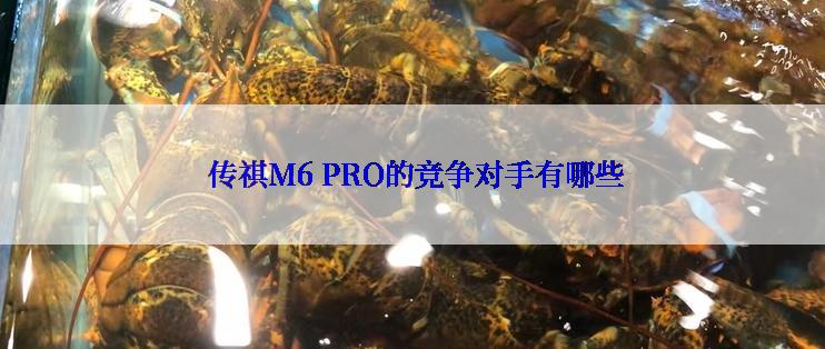  传祺M6 PRO的竞争对手有哪些