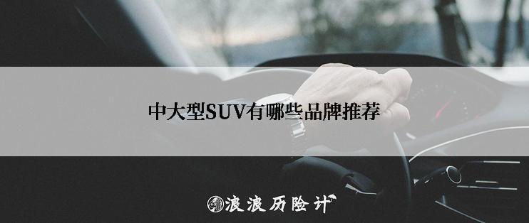 中大型SUV有哪些品牌推荐