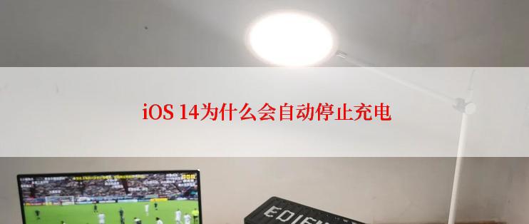  iOS 14为什么会自动停止充电