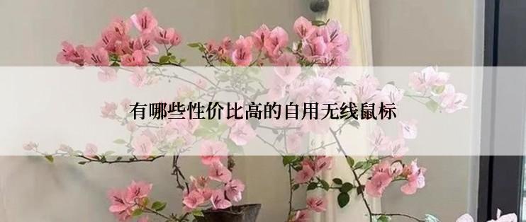 有哪些性价比高的自用无线鼠标