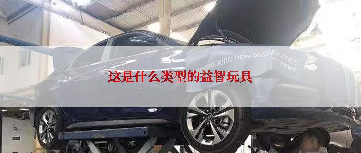 这是什么类型的益智玩具