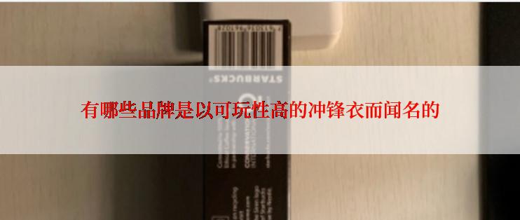 有哪些品牌是以可玩性高的冲锋衣而闻名的