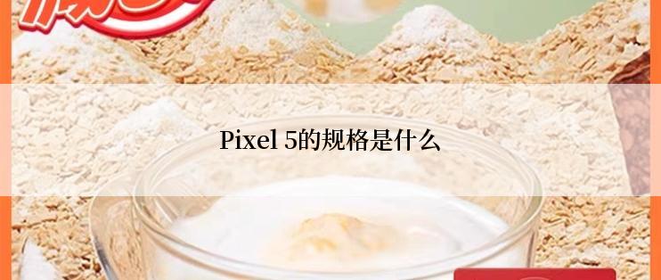 Pixel 5的规格是什么