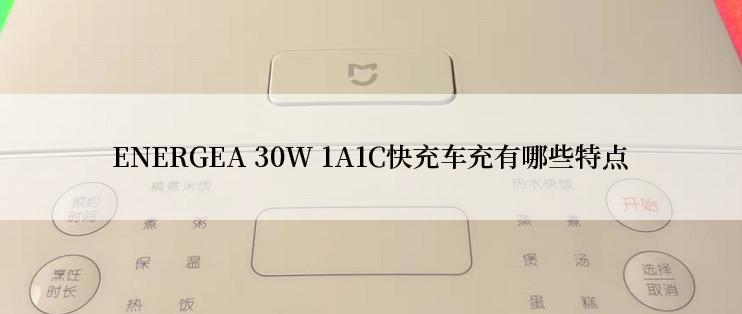 ENERGEA 30W 1A1C快充车充有哪些特点