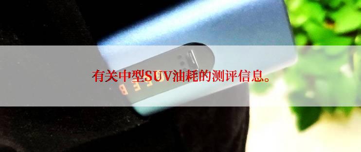 有关中型SUV油耗的测评信息。