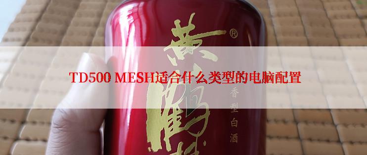  TD500 MESH适合什么类型的电脑配置