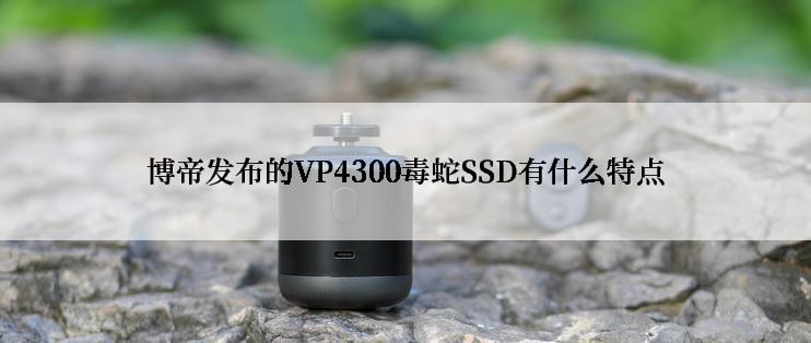 博帝发布的VP4300毒蛇SSD有什么特点