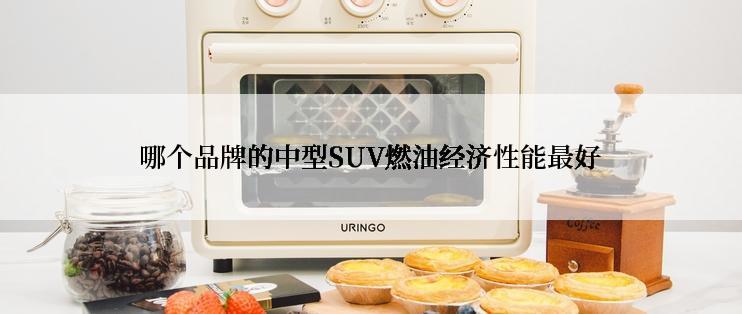 哪个品牌的中型SUV燃油经济性能最好