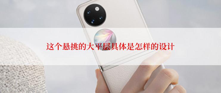 这个悬挑的大平层具体是怎样的设计