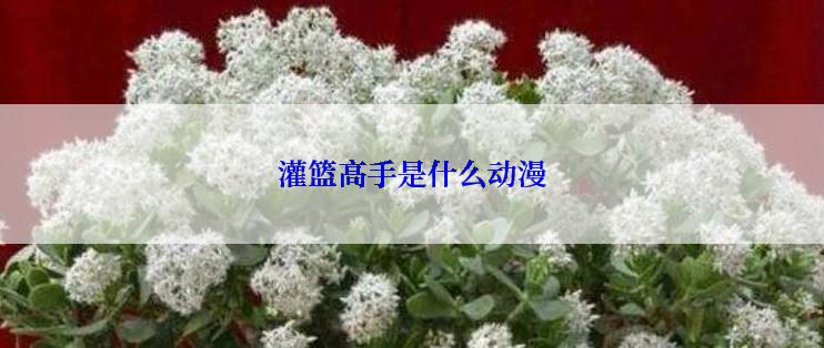 灌篮高手是什么动漫