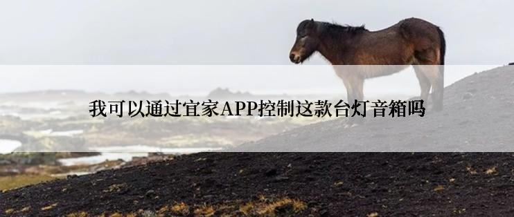 我可以通过宜家APP控制这款台灯音箱吗