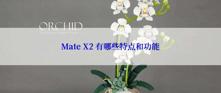 Mate X2 有哪些特点和功能