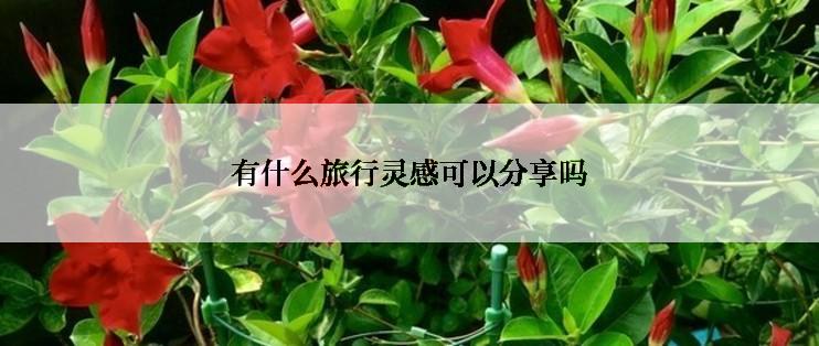 有什么旅行灵感可以分享吗