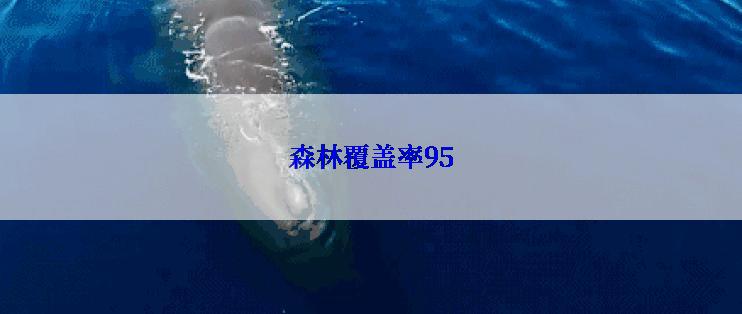 森林覆盖率95