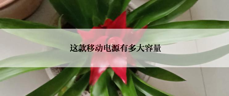  这款移动电源有多大容量