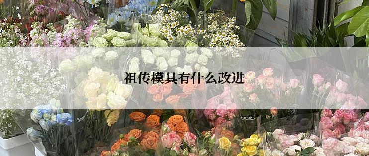 祖传模具有什么改进