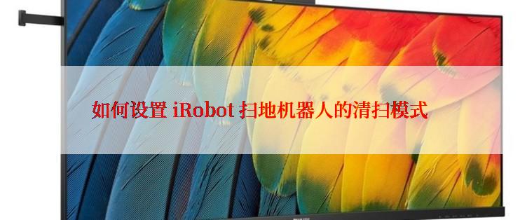 如何设置 iRobot 扫地机器人的清扫模式