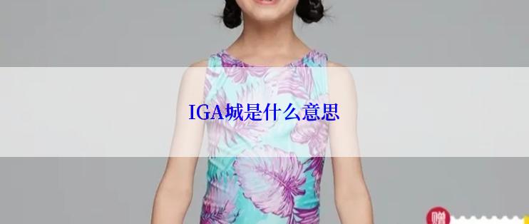 IGA城是什么意思