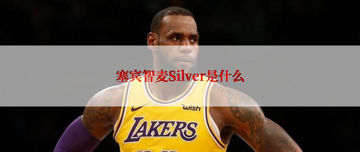 塞宾智麦Silver是什么