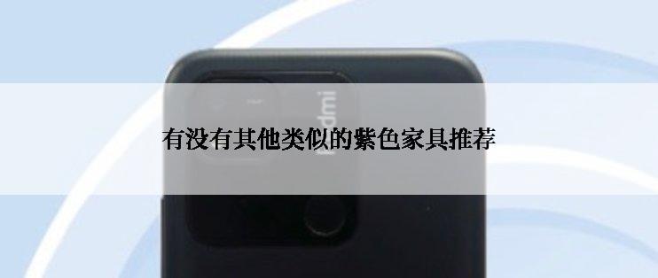 有没有其他类似的紫色家具推荐