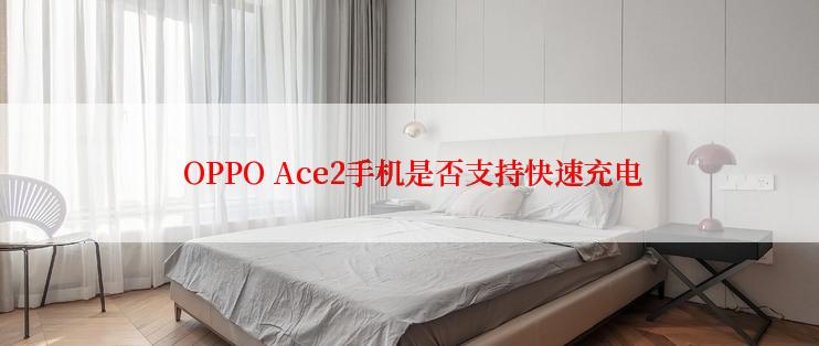  OPPO Ace2手机是否支持快速充电