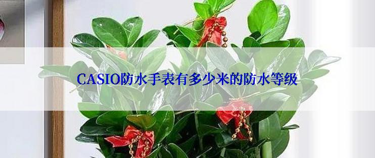 CASIO防水手表有多少米的防水等级