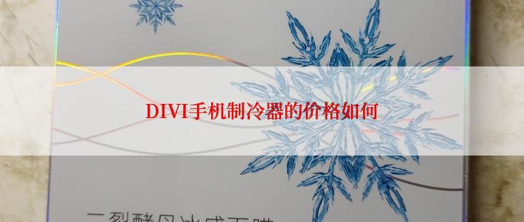 DIVI手机制冷器的价格如何