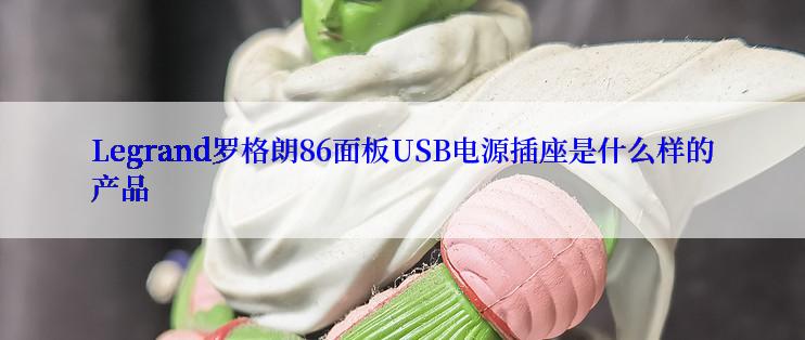 Legrand罗格朗86面板USB电源插座是什么样的产品