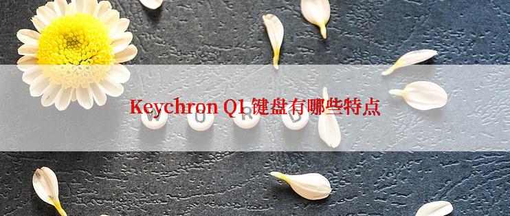 Keychron Q1 键盘有哪些特点