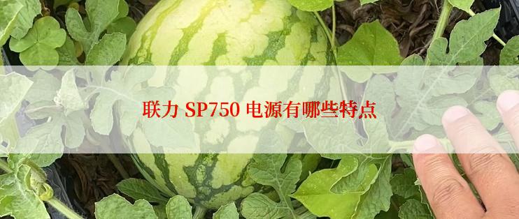 联力 SP750 电源有哪些特点