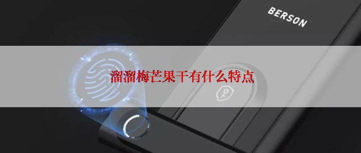  溜溜梅芒果干有什么特点