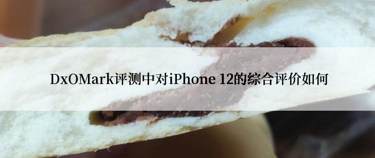  DxOMark评测中对iPhone 12的综合评价如何