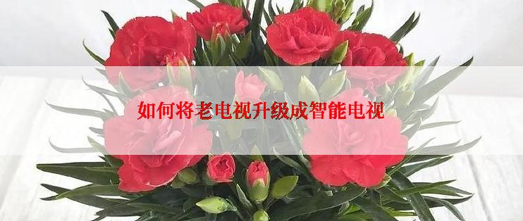 如何将老电视升级成智能电视