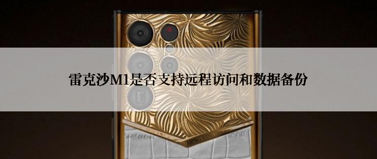 雷克沙M1是否支持远程访问和数据备份