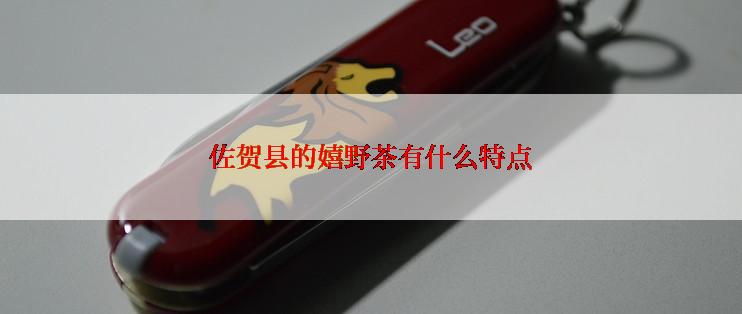 佐贺县的嬉野茶有什么特点