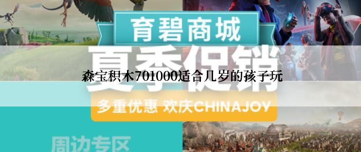  森宝积木701000适合几岁的孩子玩