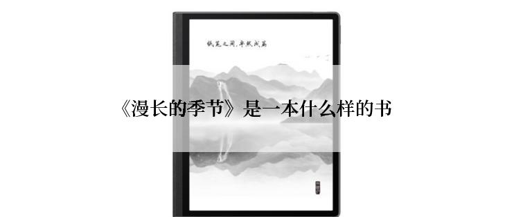 《漫长的季节》是一本什么样的书