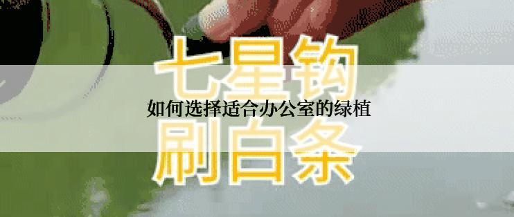  如何选择适合办公室的绿植