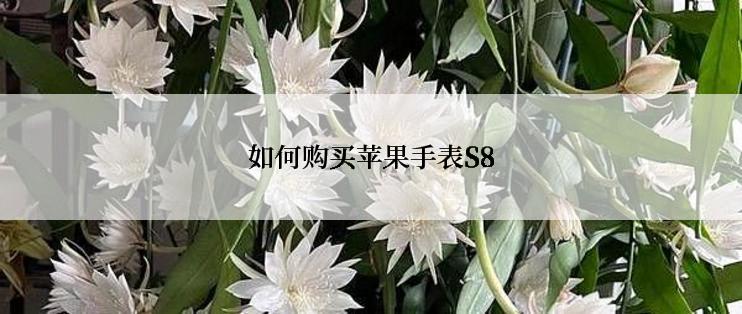 如何购买苹果手表S8