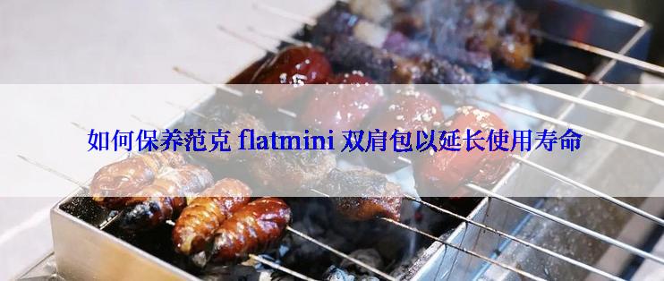  如何保养范克 flatmini 双肩包以延长使用寿命