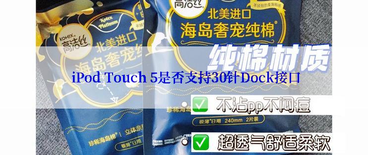  iPod Touch 5是否支持30针Dock接口