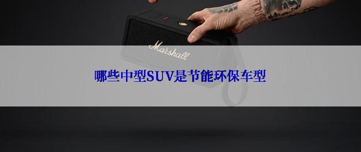 哪些中型SUV是节能环保车型