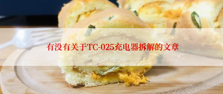  有没有关于TC-025充电器拆解的文章