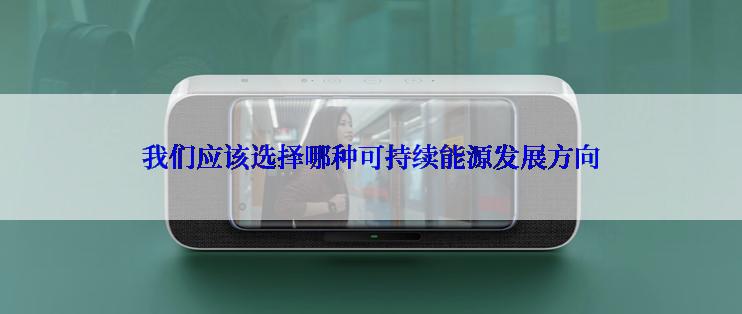 我们应该选择哪种可持续能源发展方向