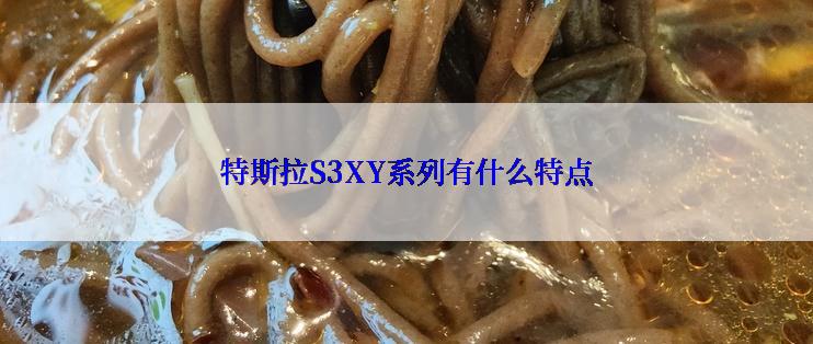 特斯拉S3XY系列有什么特点